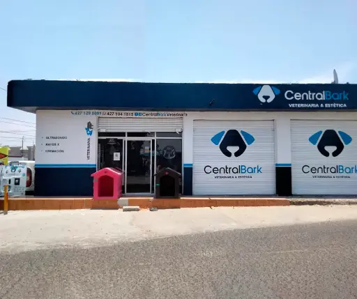 Citas en Santa Cruz Nieto